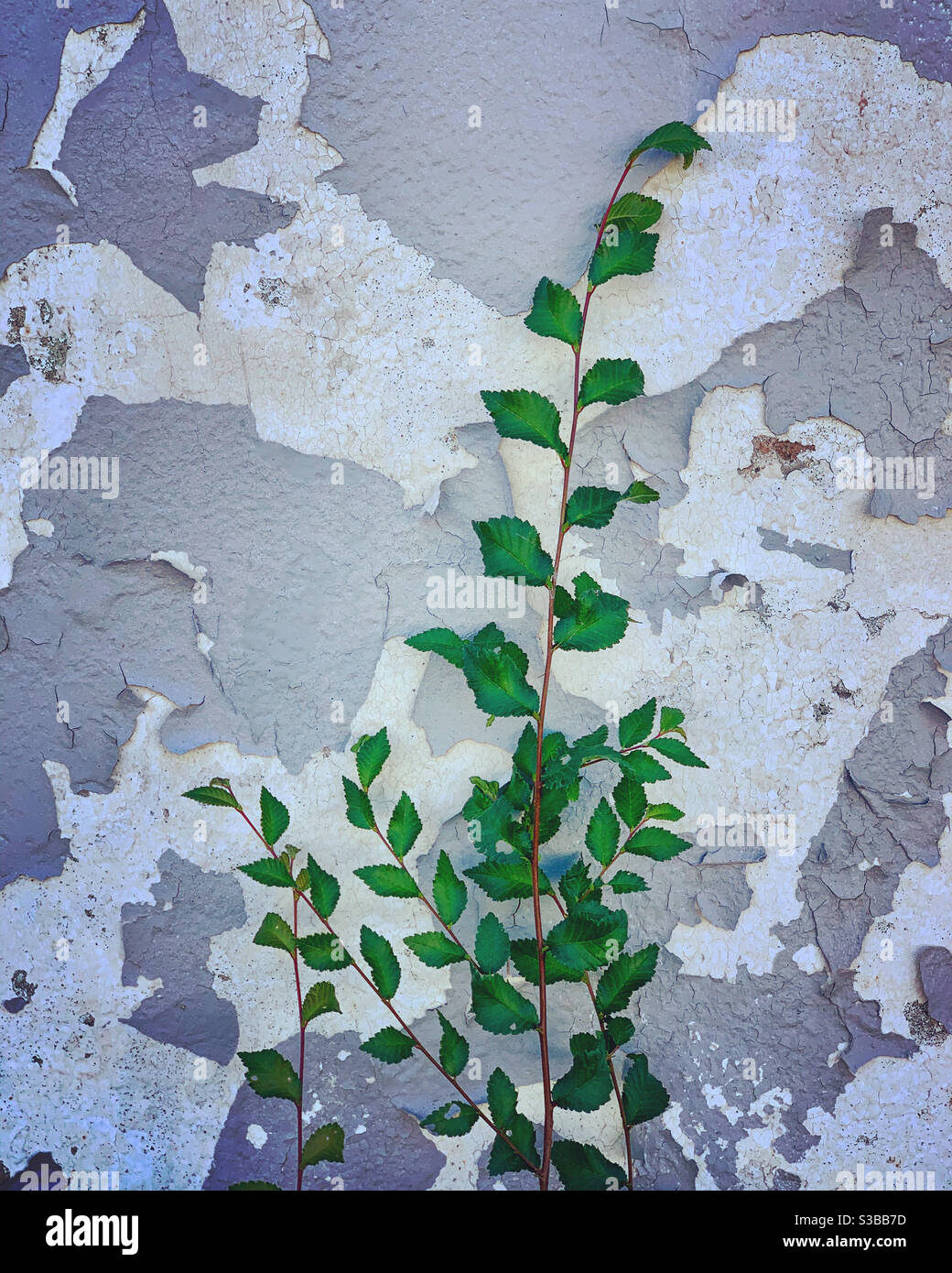 Urban and nature hi-res stock photography and images - Alamy