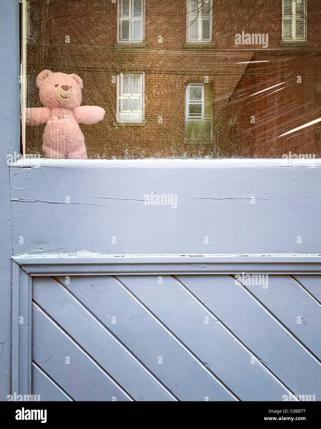 Teddy bear on a window - Smartphone Captured Stock Image