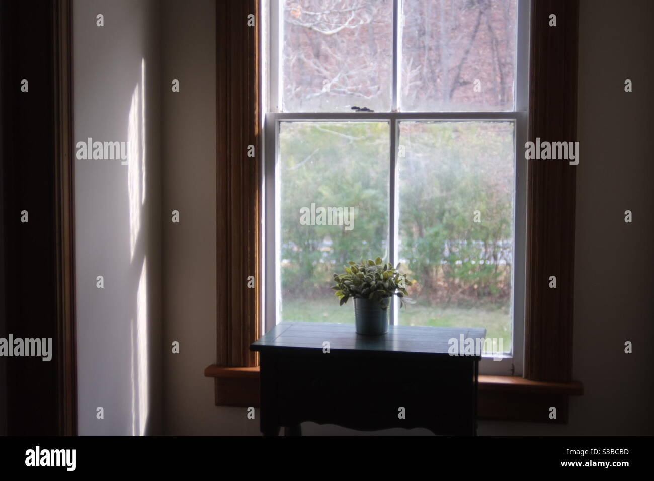 Window during day Stock Photo Alamy
