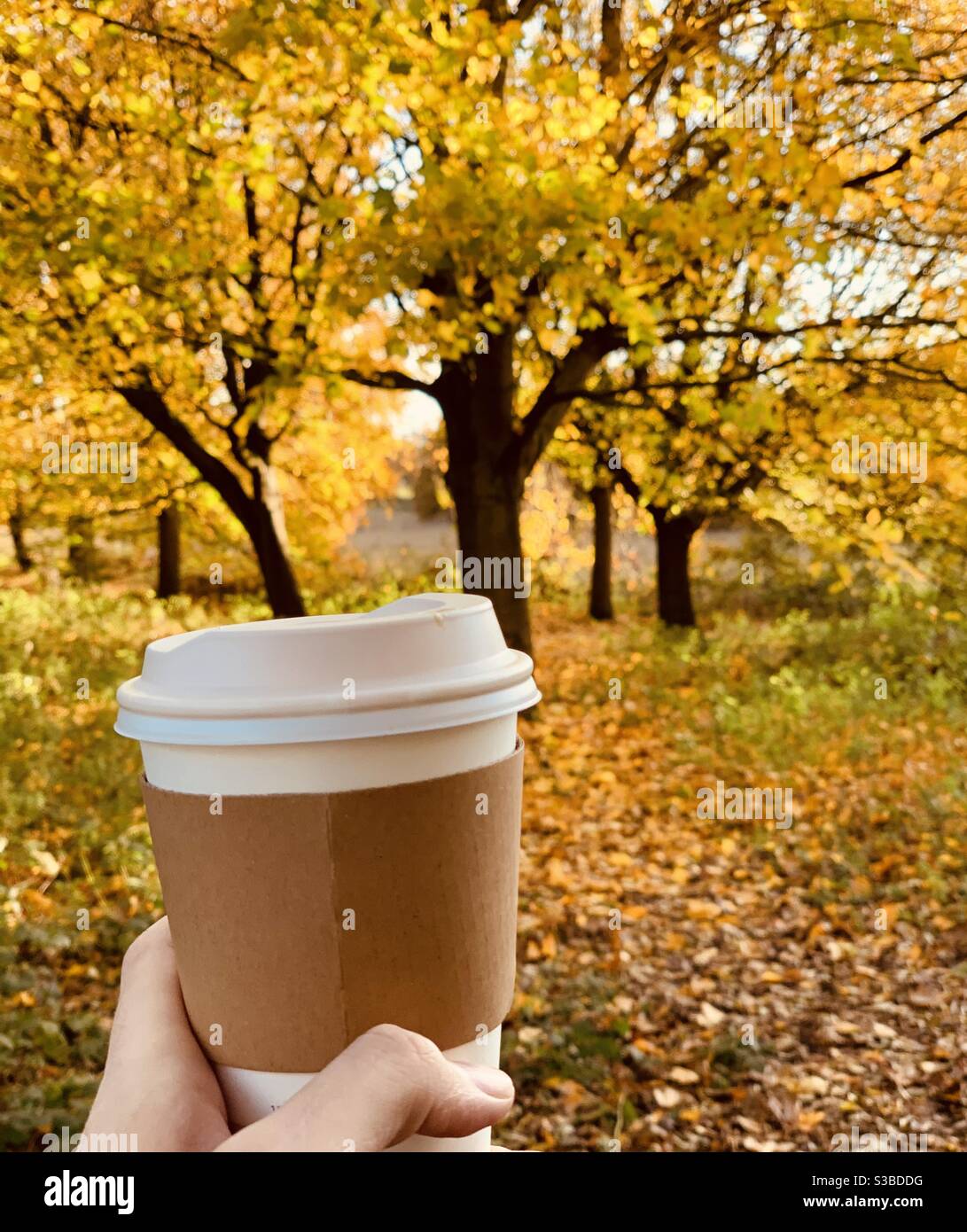 Autumn walk with coffee. Stock Photo