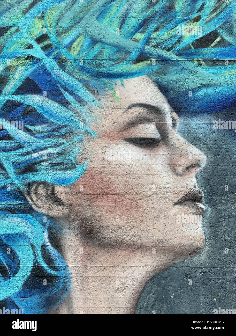 Woman surreal face airbrush design - Smartphone Captured Stock Image