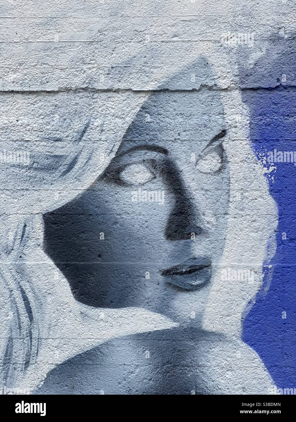 Surreal woman portrait airbrush design on a street wall - Smartphone Captured Stock Image