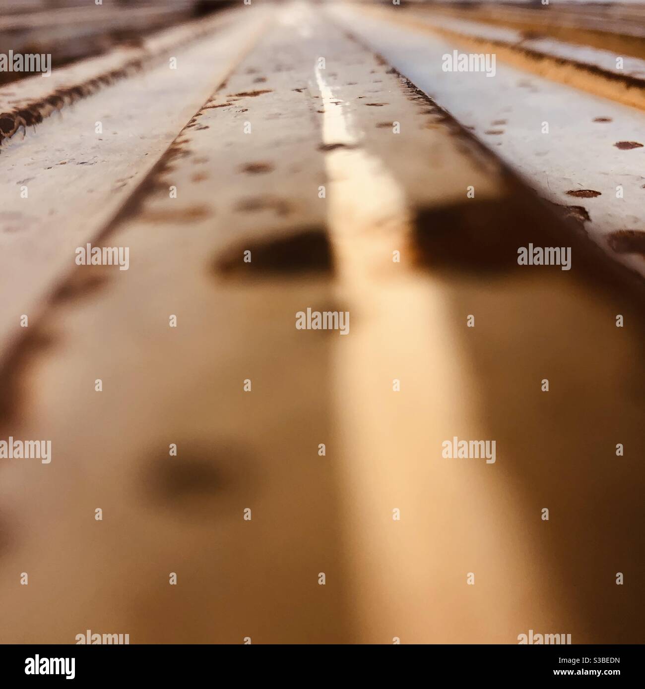 Light OF Sun Stock Photo Alamy