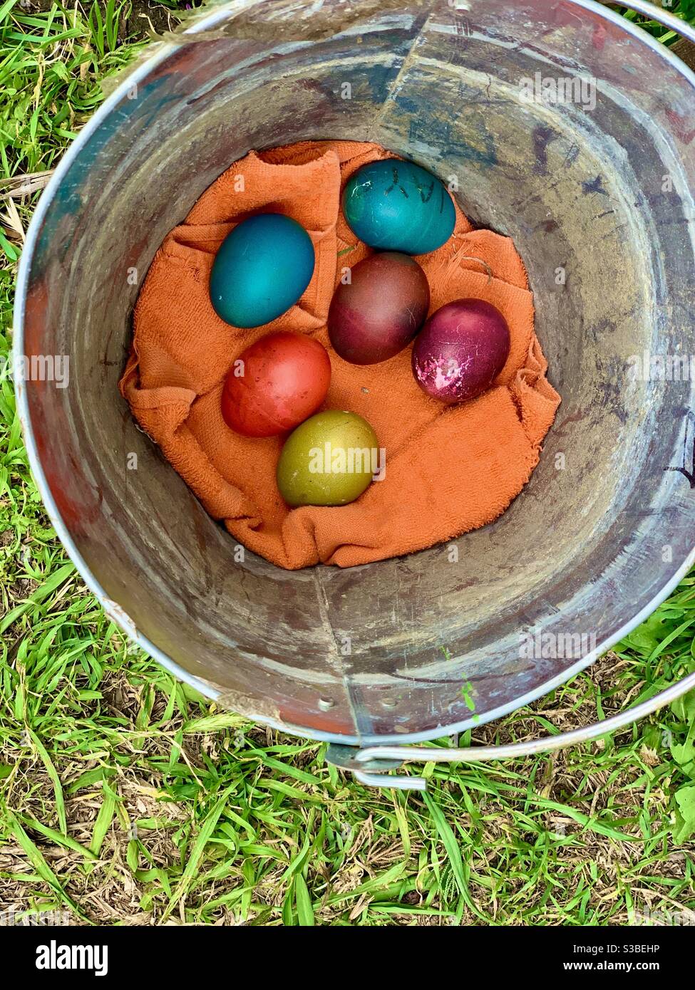 6 Easter eggs in a metal bucket Stock Photo Alamy