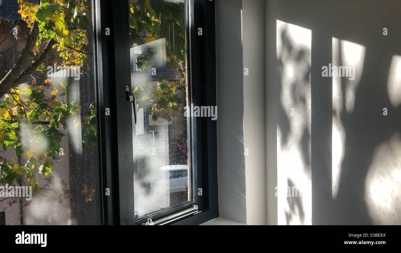 Double glazed wooden window with natural daylight, autumn leaves and tree shadows Stock Photo
