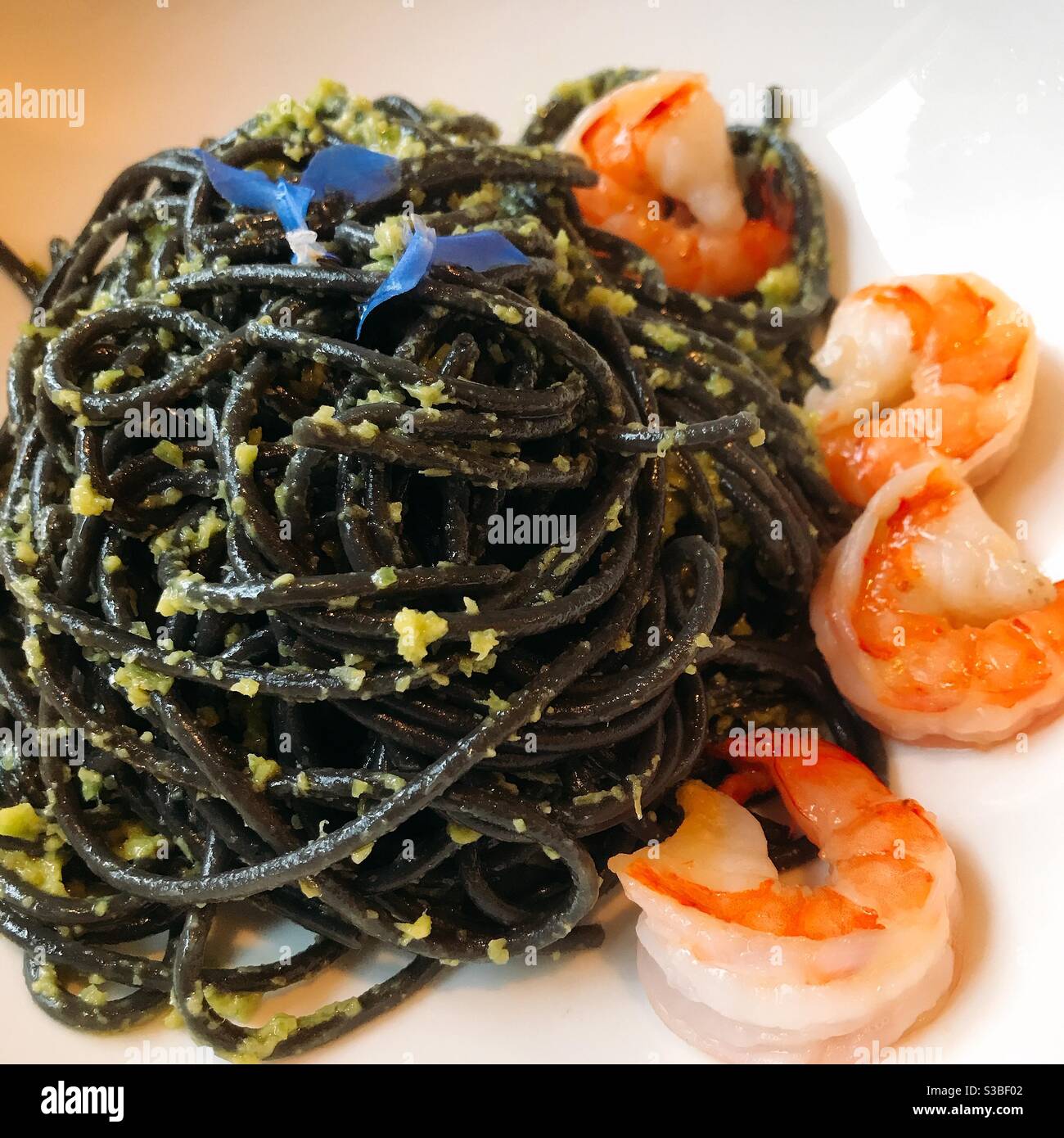 Squid ink pasta with pesto and shrimp Stock Photo
