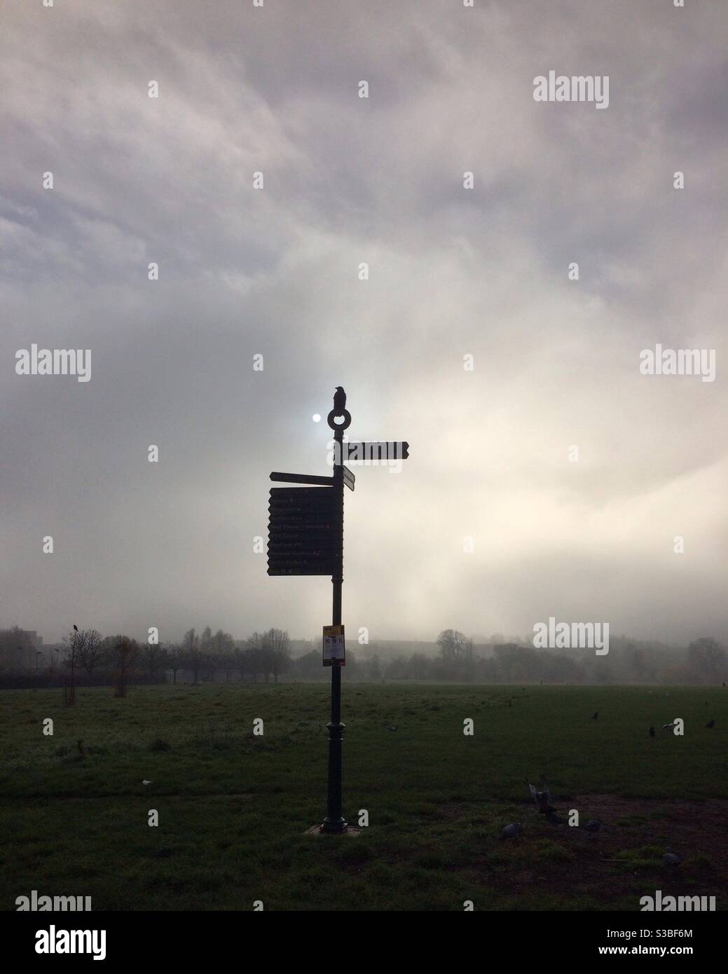 A crow perched silhouetted on a signpost in Lordship Recreation Ground, Tottenham, London on a cold and misty winters day - Smartphone Captured Stock Image A crow perched silhouetted on a signpost in Lordship Recreation Ground, Tottenham, London on a cold and misty winters day - Smartphone Captured Stock Image