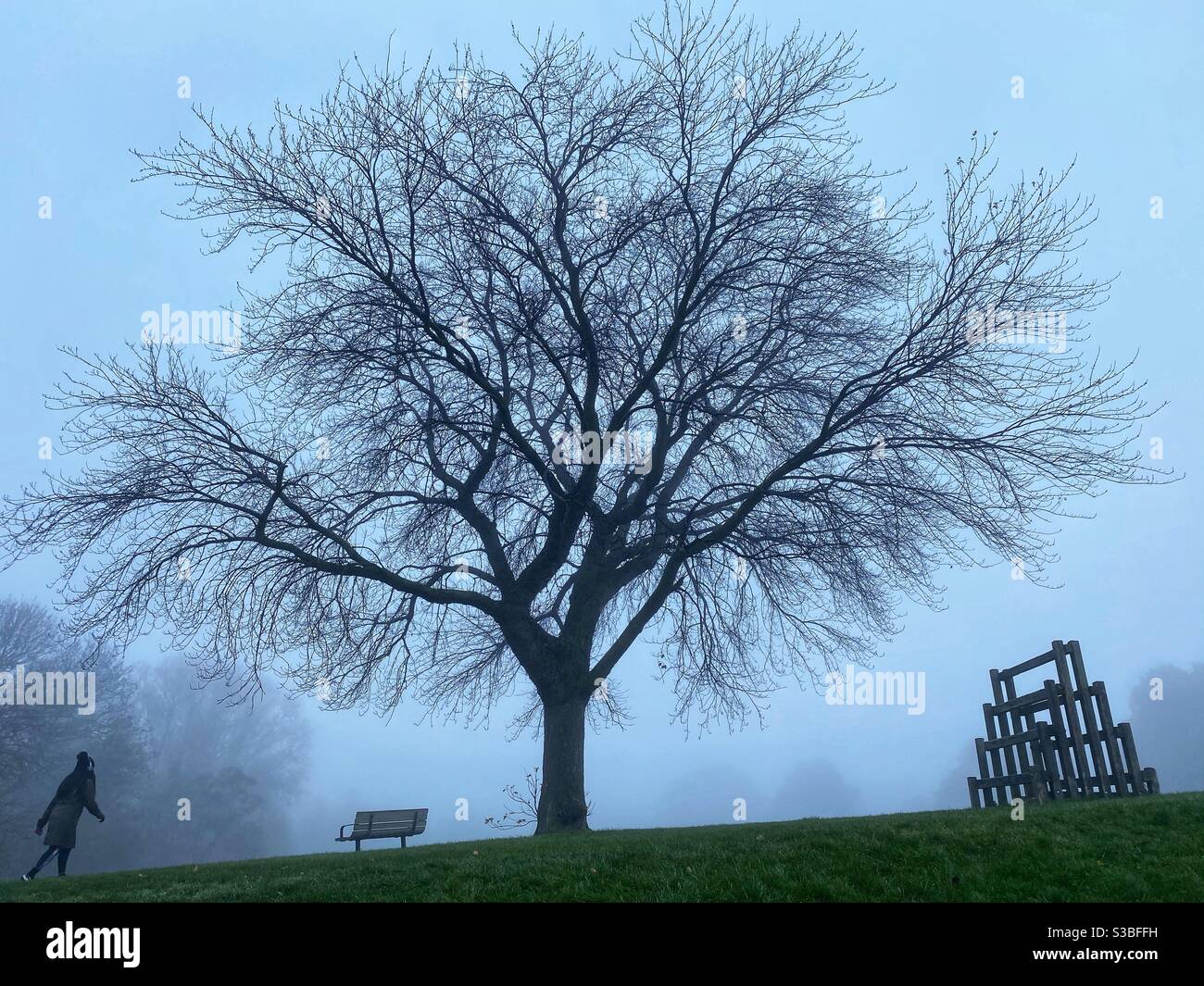 Mountsfield Park London in the fog, England - Smartphone Captured Stock Image
