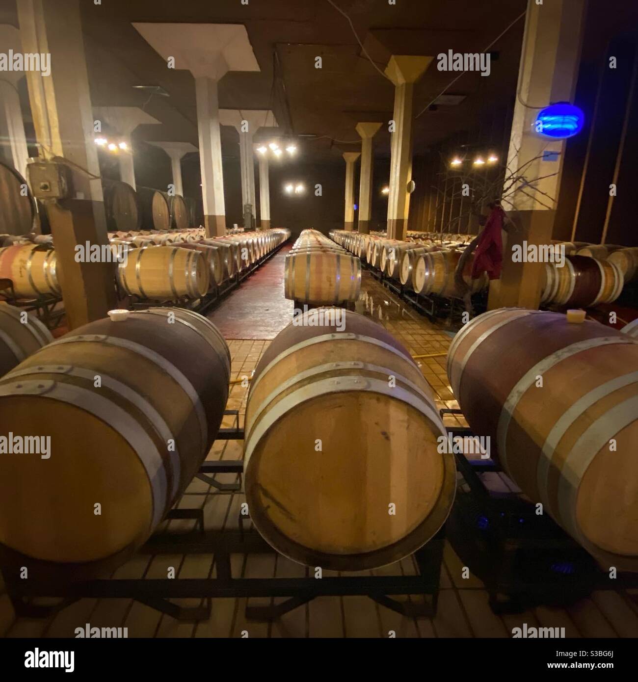 Wine barrels - Smartphone Captured Stock Image