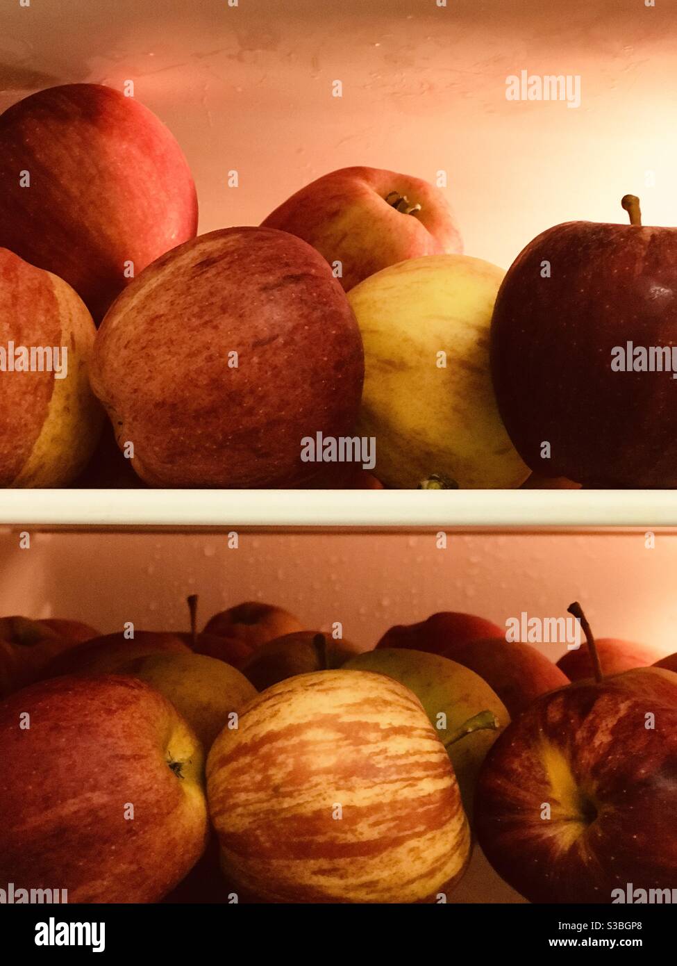 fresh apples on fridge shelves Stock Photo
