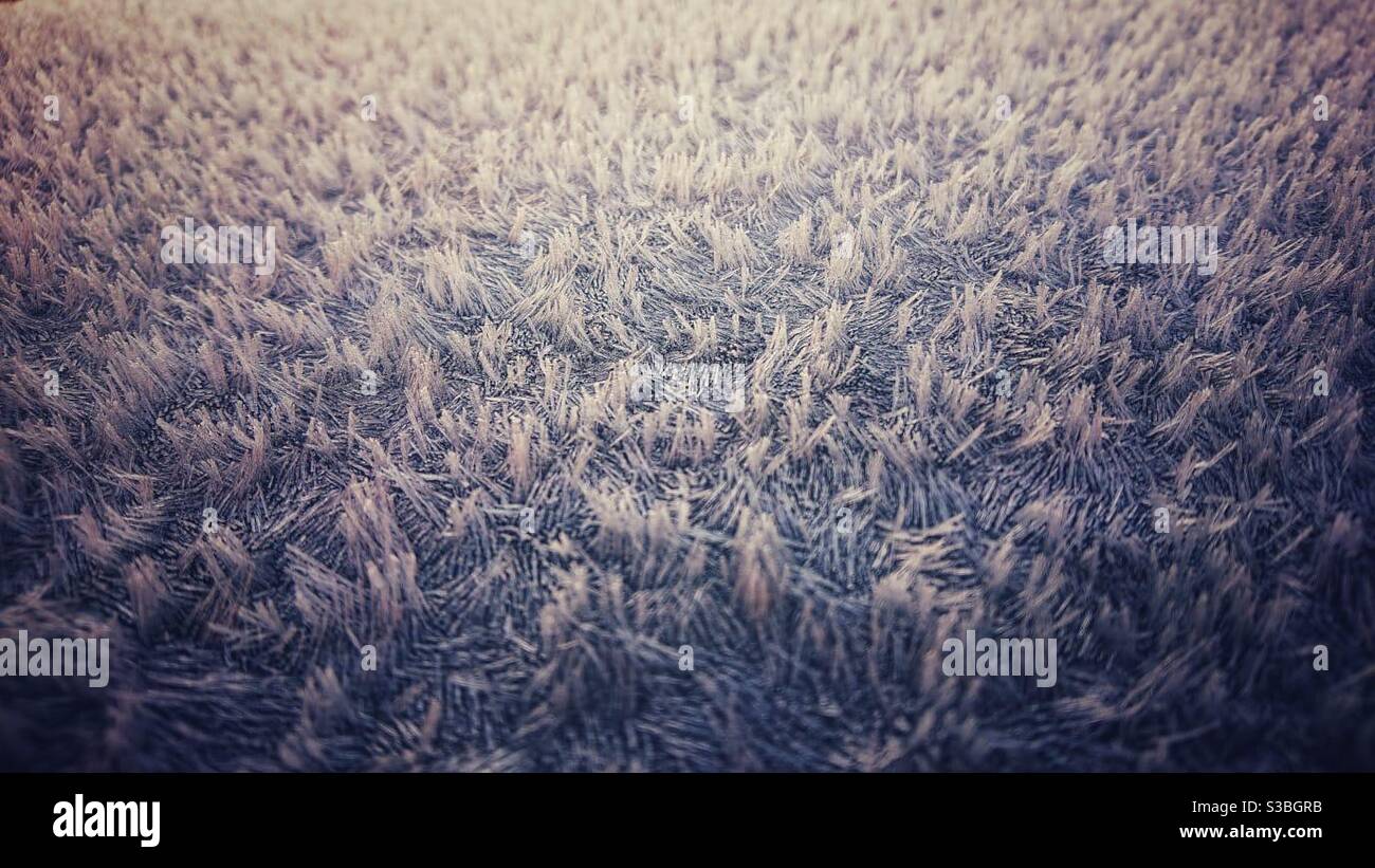 A close up photograph of ice crystals formed on the roof of a car Stock Photo