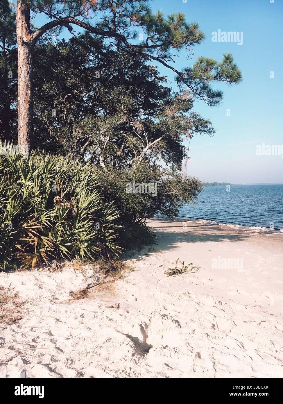 Small beach on Florida’s Coast Stock Photo Alamy