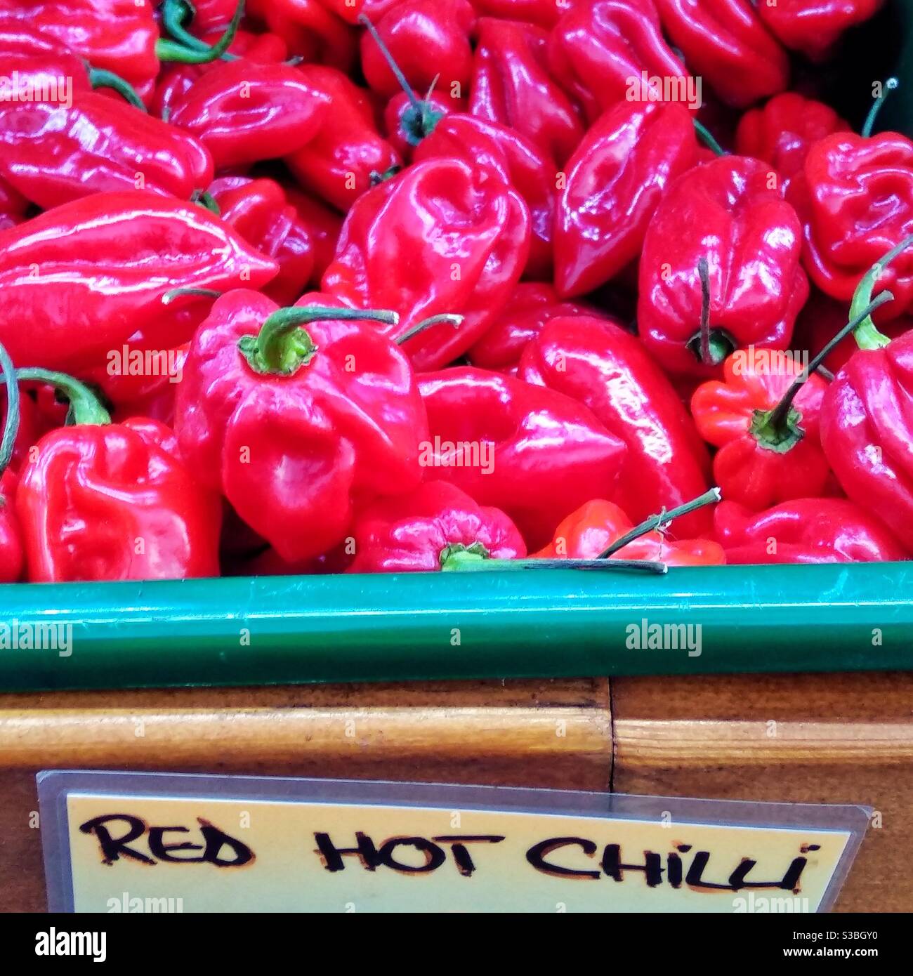 Red hot chilli peppers Stock Photo Alamy