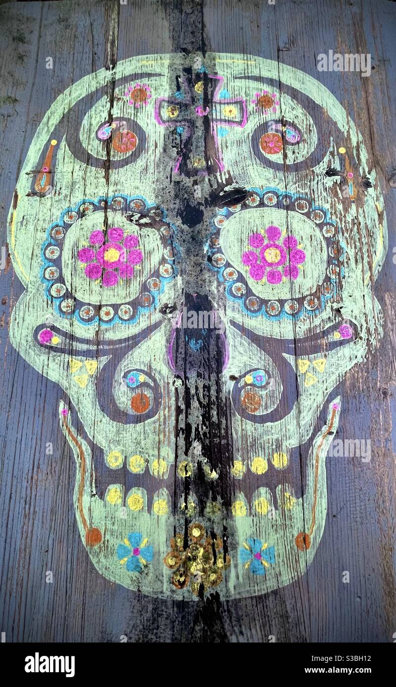 Painted sugar skull design on wooden boards Stock Photo