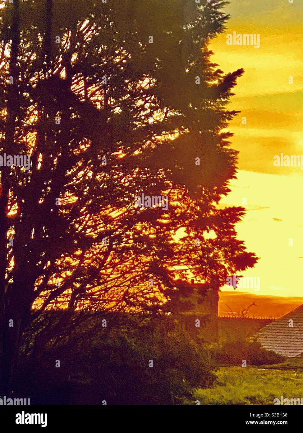 Cornish sunset - Smartphone Captured Stock Image