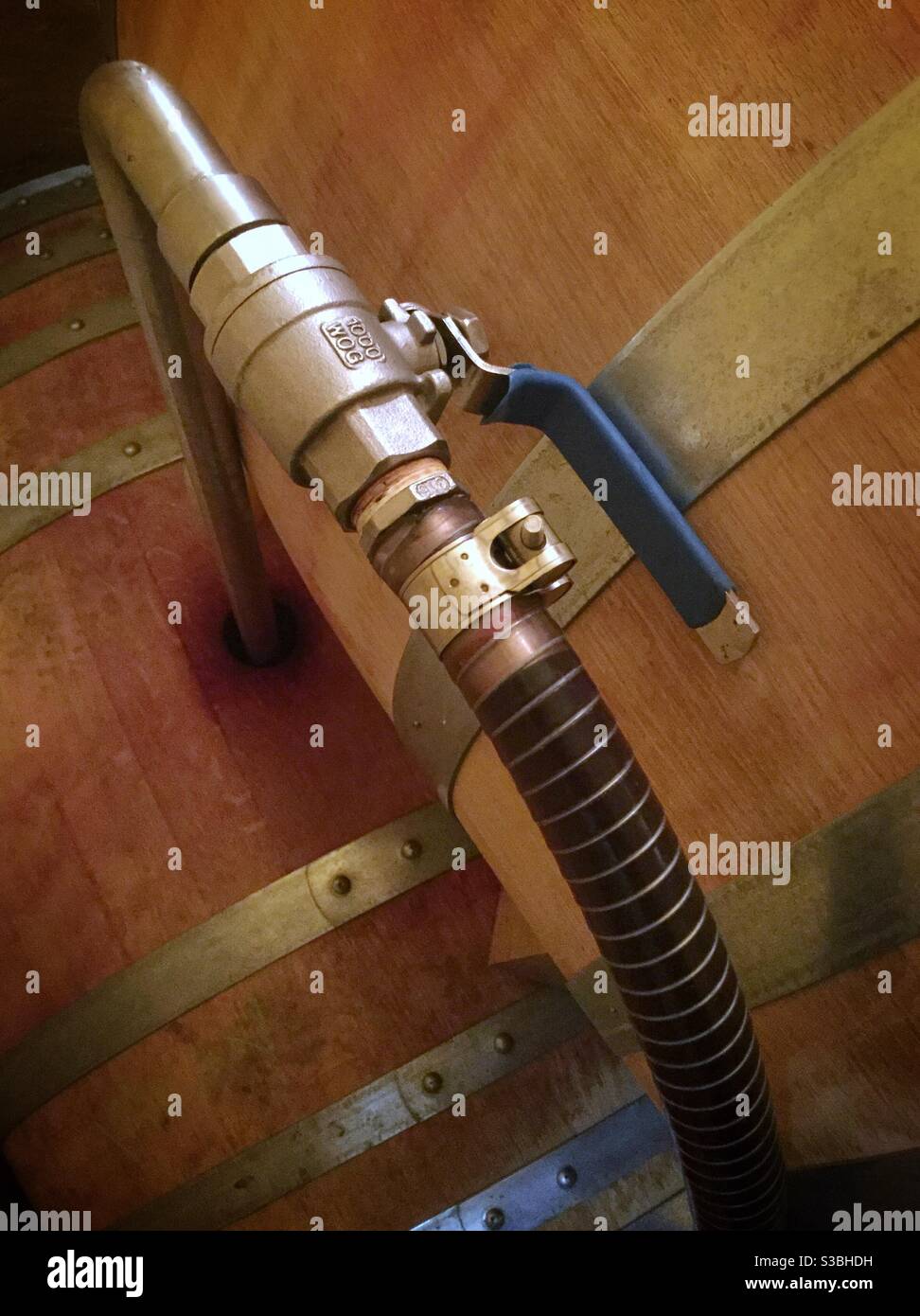 Transferring wine from stainless steel tank to oak barrels in a boutique winery, Catalonia, Spain. - Smartphone Captured Stock Image