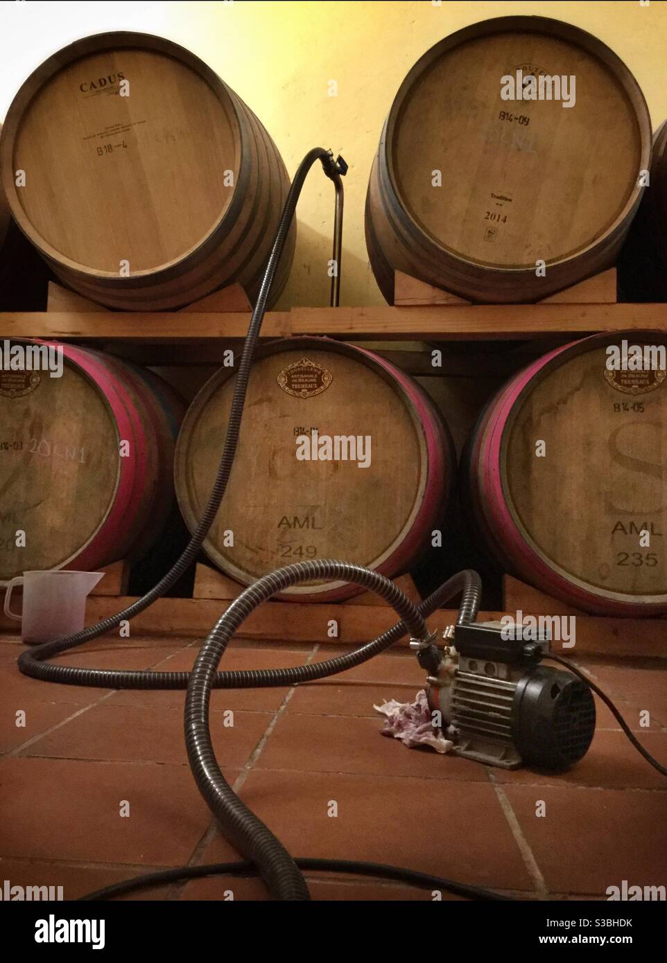 Transferring wine from stainless steel tank to oak barrels in a boutique winery, Catalonia, Spain. - Smartphone Captured Stock Image