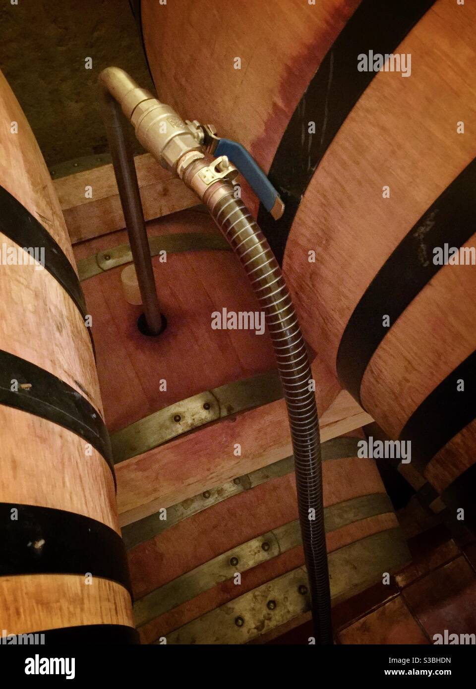 Transferring wine from stainless steel tank to oak barrels in a boutique winery, Catalonia, Spain. - Smartphone Captured Stock Image