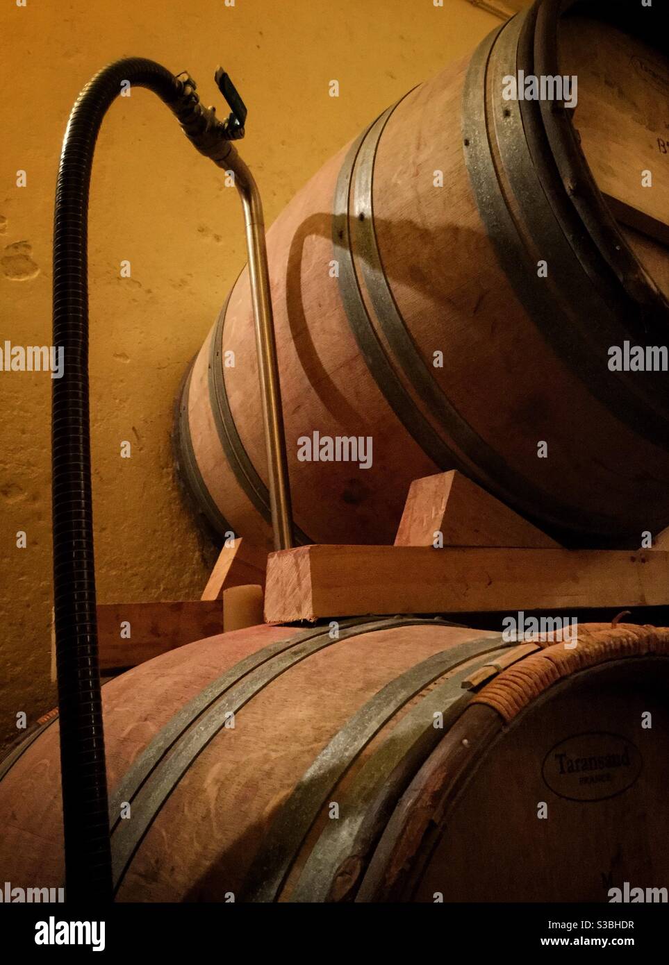 Transferring wine from stainless steel tank to oak barrels in a boutique winery, Catalonia, Spain. - Smartphone Captured Stock Image