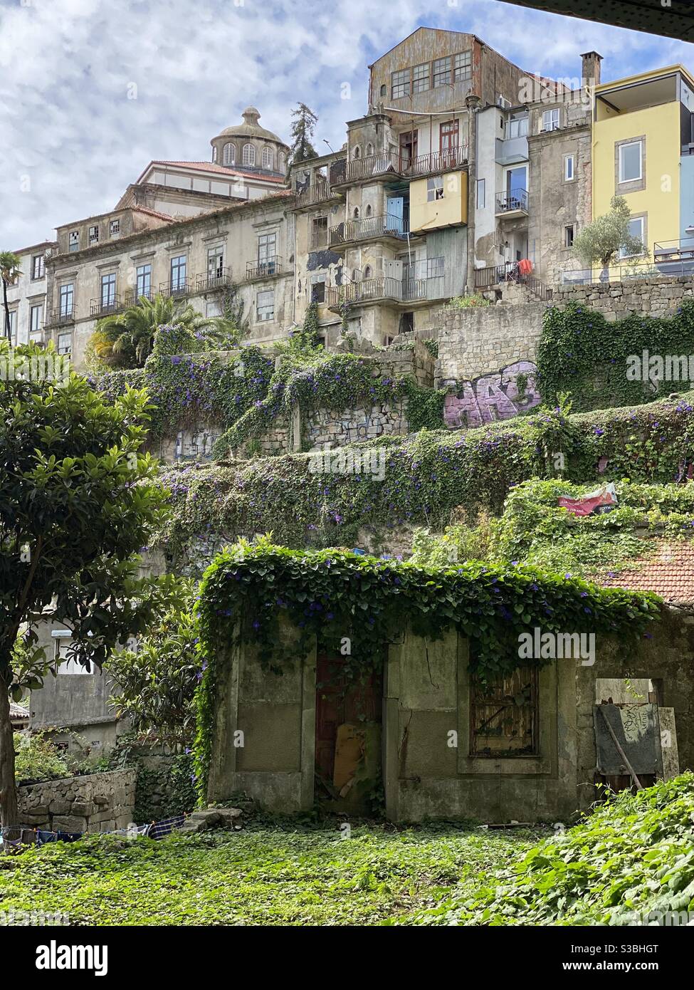 Untamed Porto Stock Photo