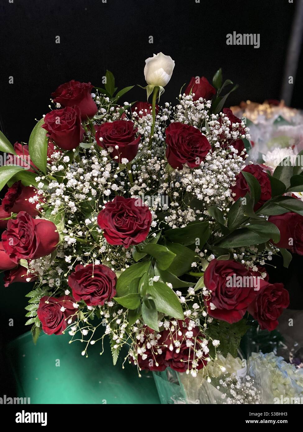 42 red roses and one white rose Stock Photo Alamy