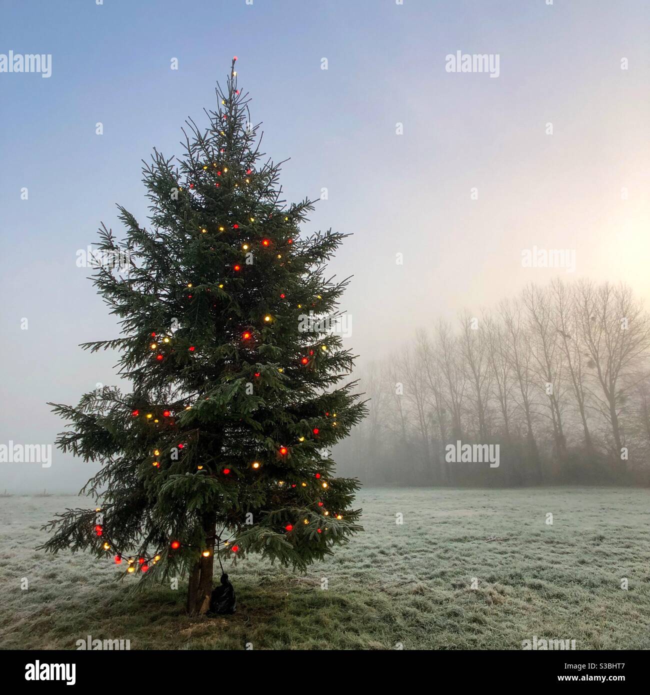 Fog christmas hi-res stock photography and images - Alamy