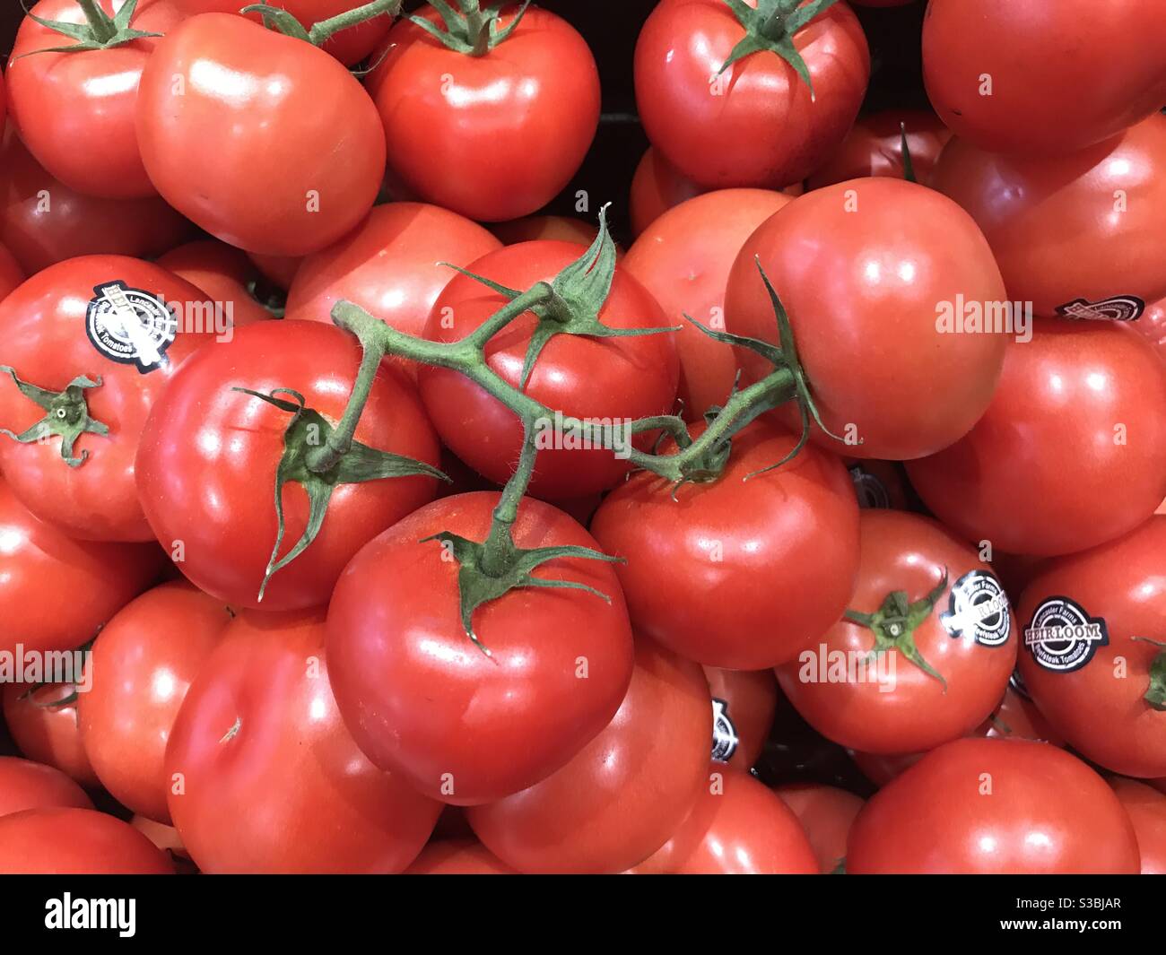 Truss tomatoes Stock Photo - Alamy