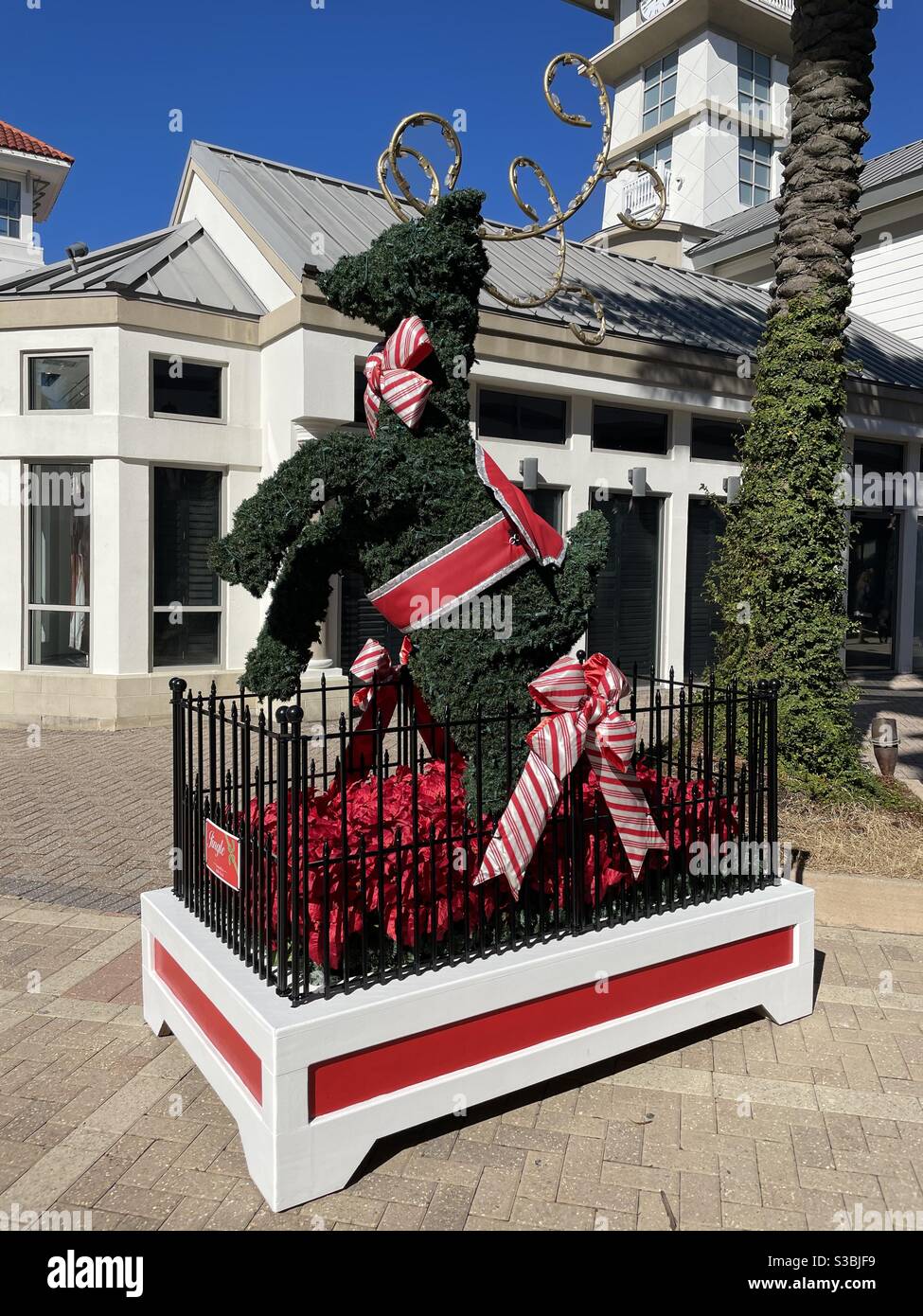 Reindeer Meridian Idaho Mall Christmas 2024 Decorations Bibi Marita