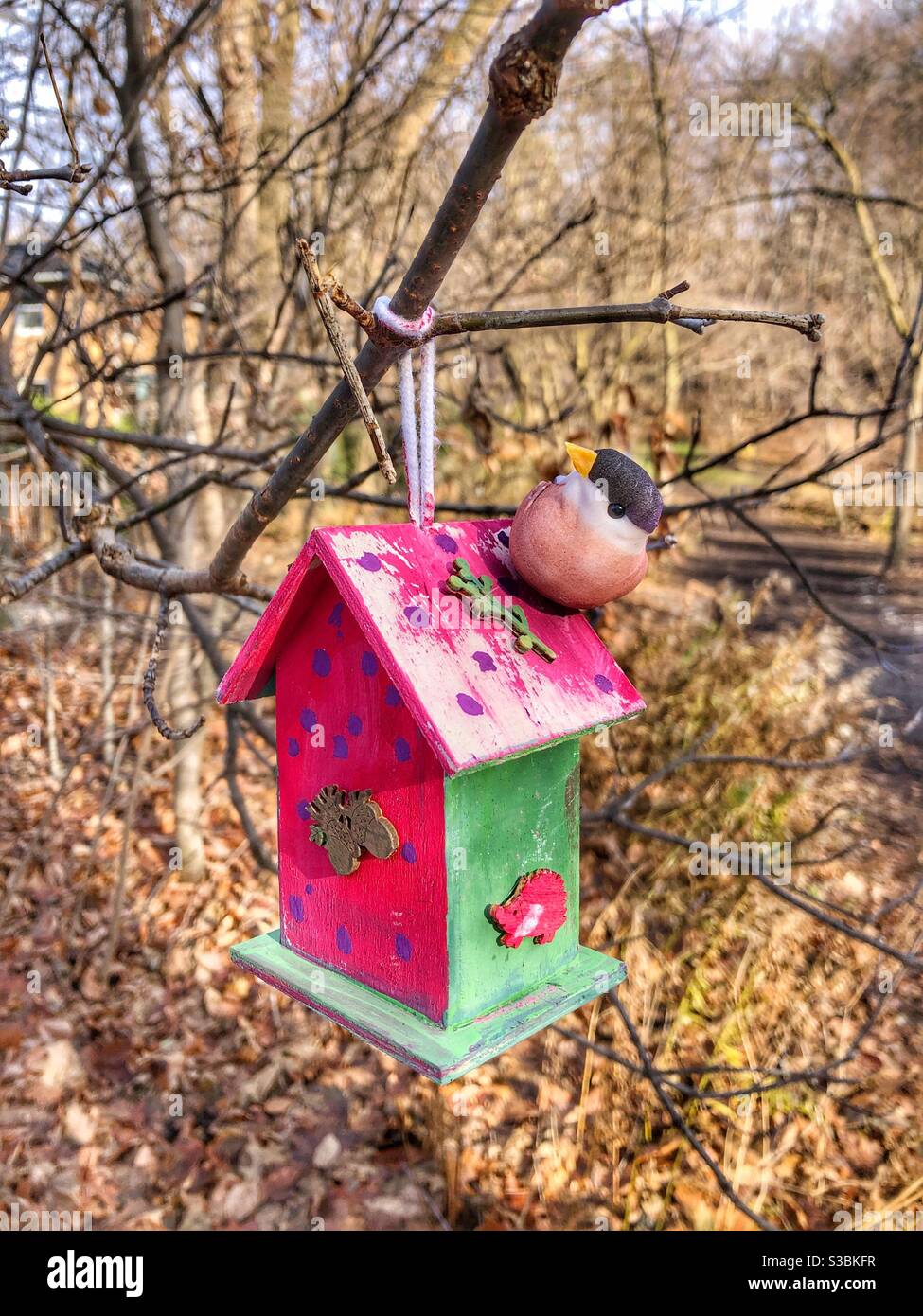 A cheerful bird feeder hanging from a branch in the woods. Stock Photo