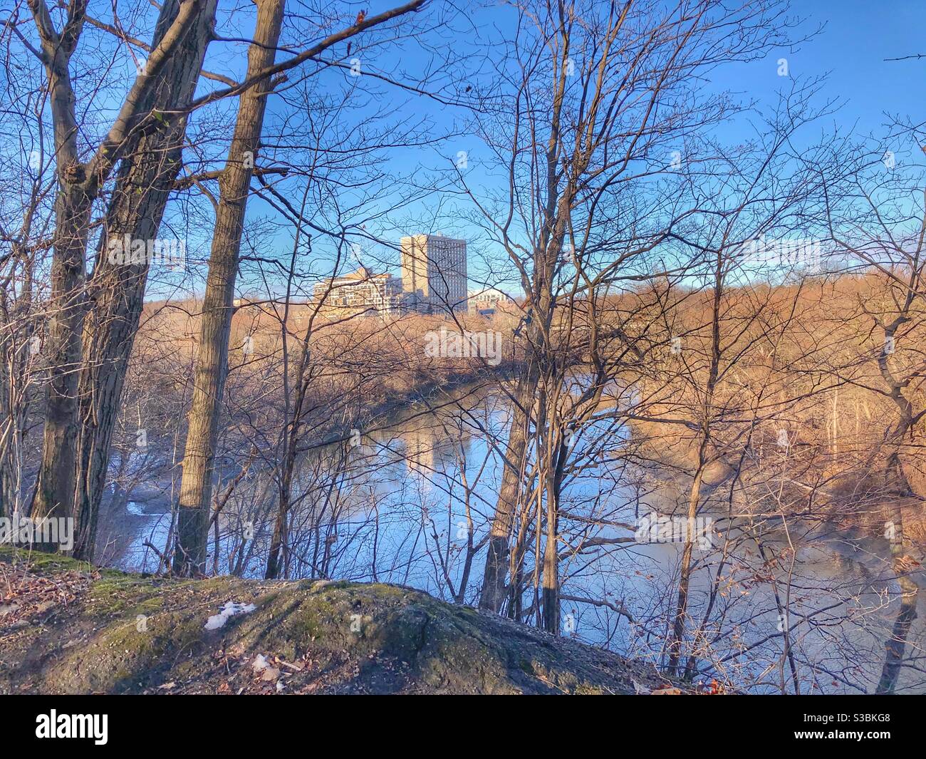 Stark autumn landscape. Stock Photo