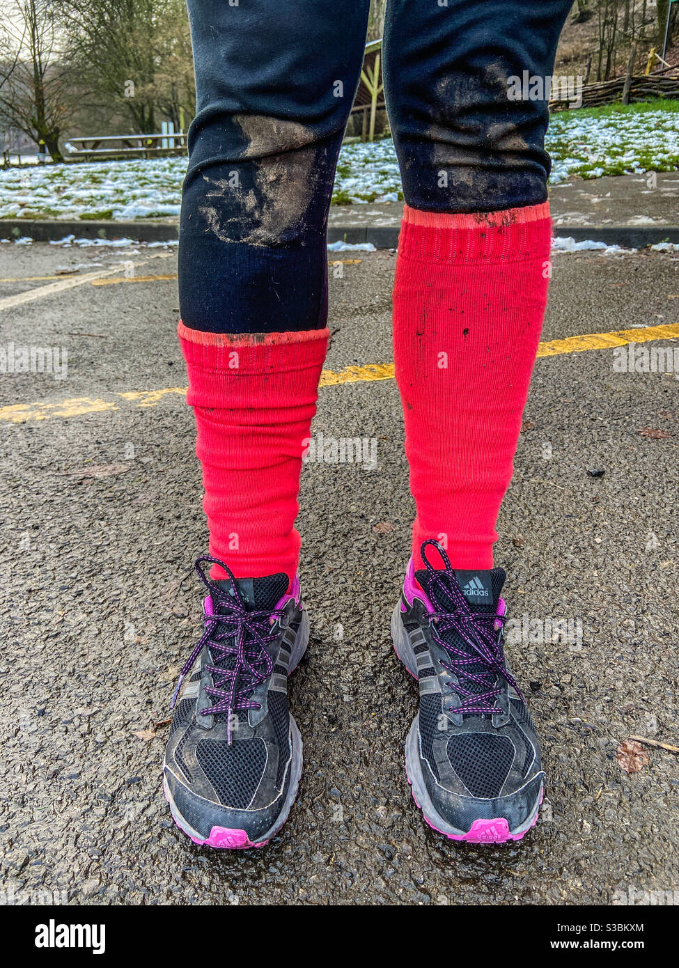 Winter walks - Smartphone Captured Stock Image