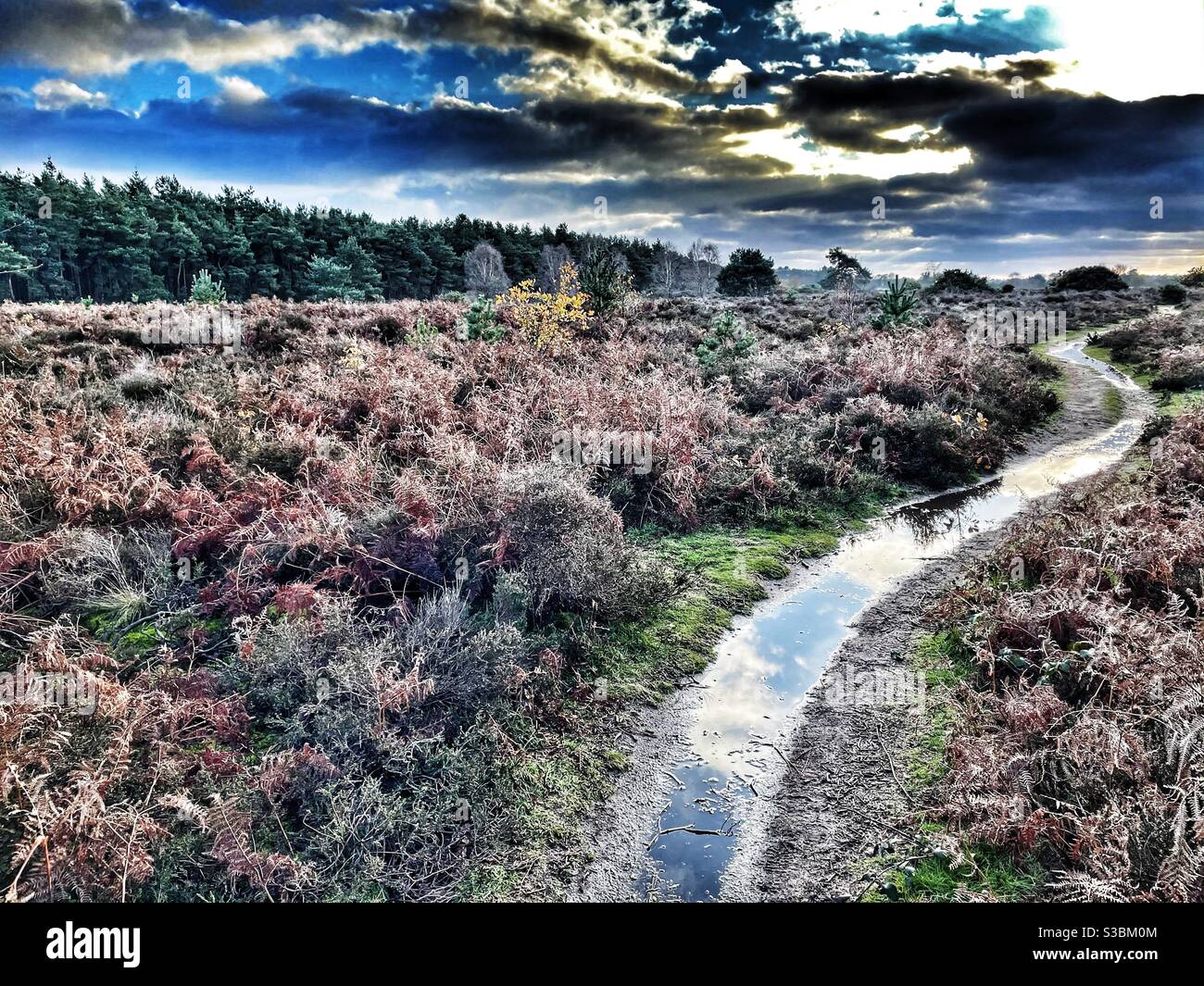 Long and winding road - Smartphone Captured Stock Image