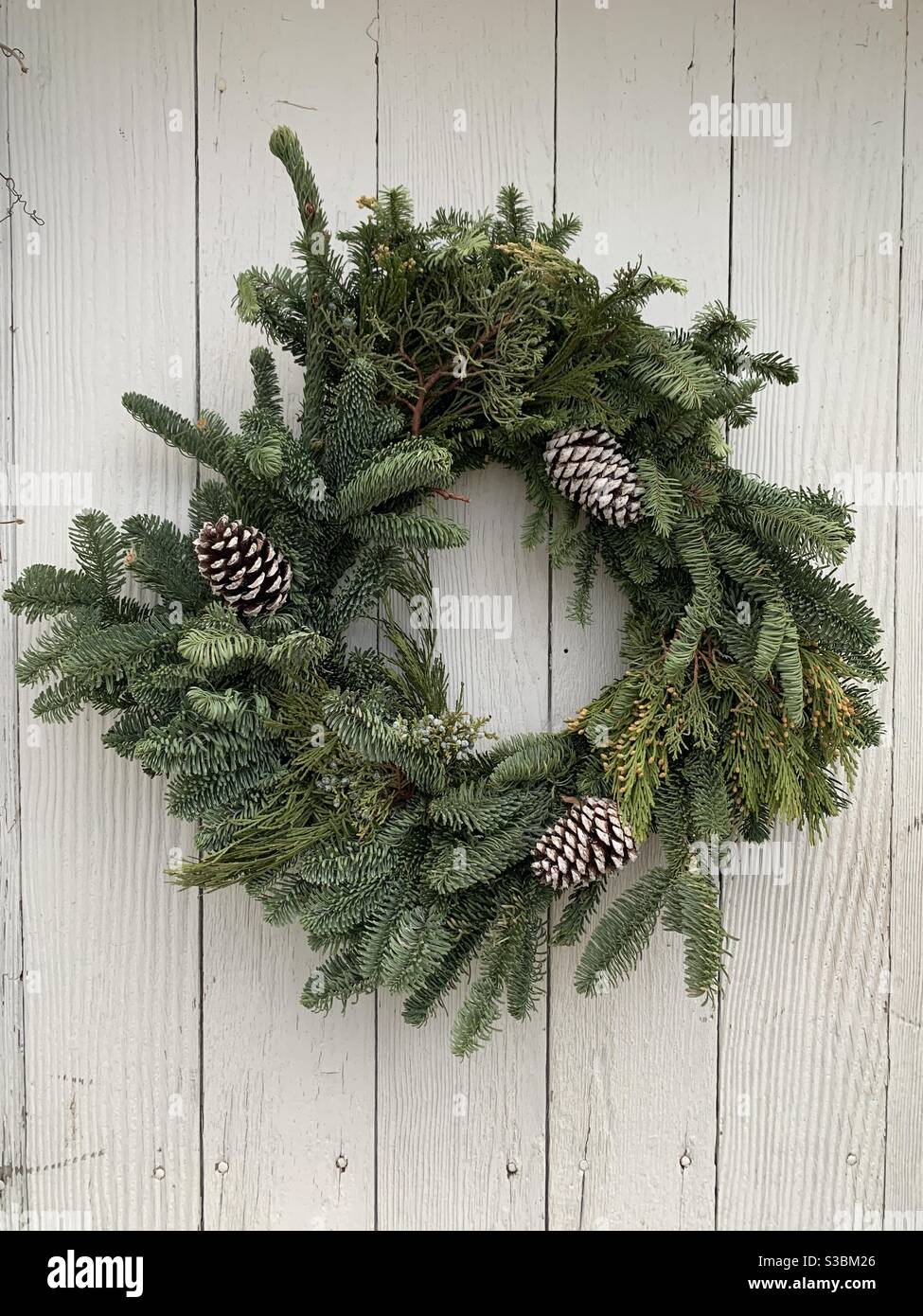 Evergreen wreath on white wooden door. - Smartphone Captured Stock Image