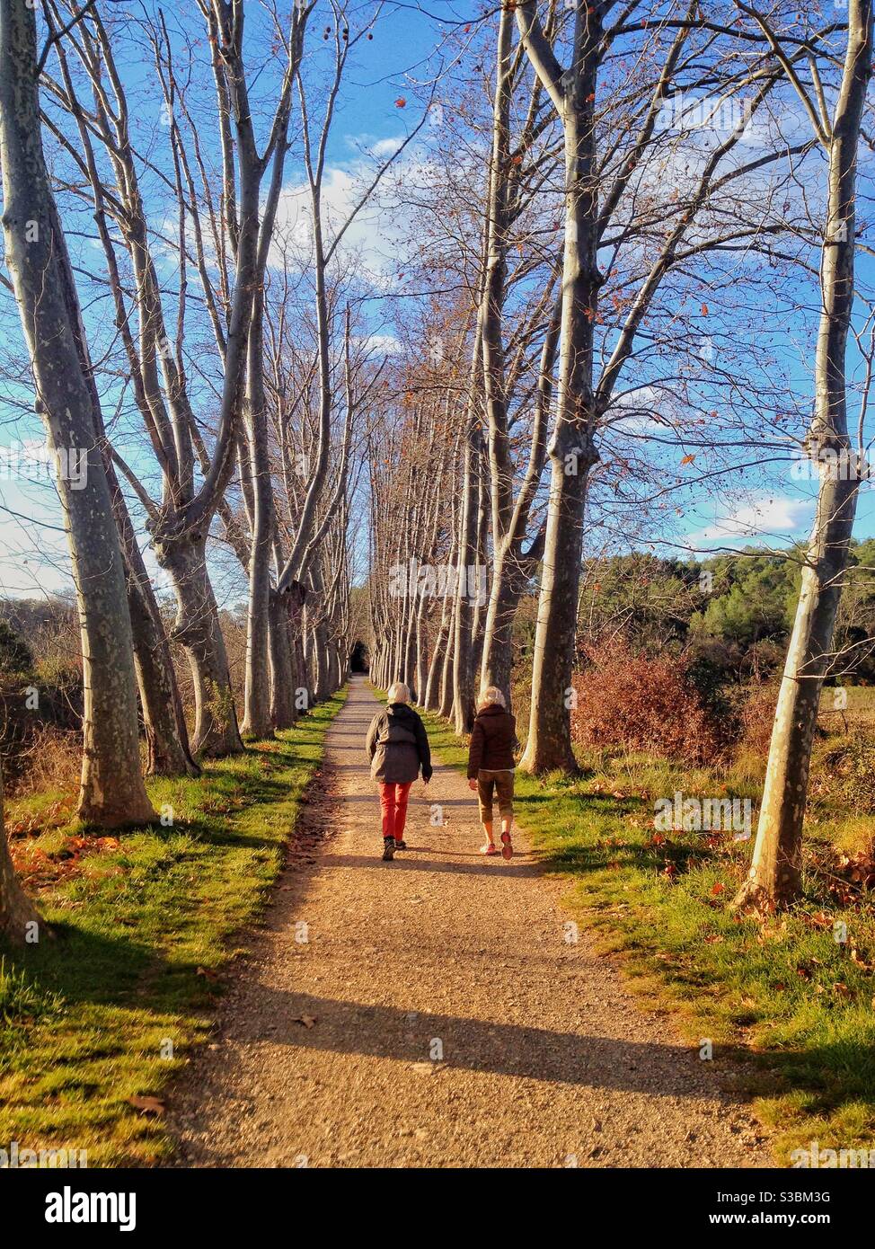 Walking in Autumn - Smartphone Captured Stock Image