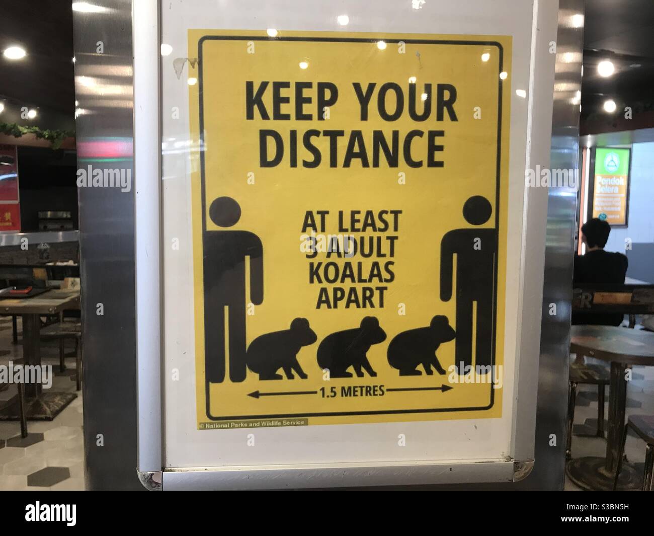 Keep your distance at least 3 adult koalas apart social distancing sign at a foodcourt in Sydney’s Chinatown. - Smartphone Captured Stock Image