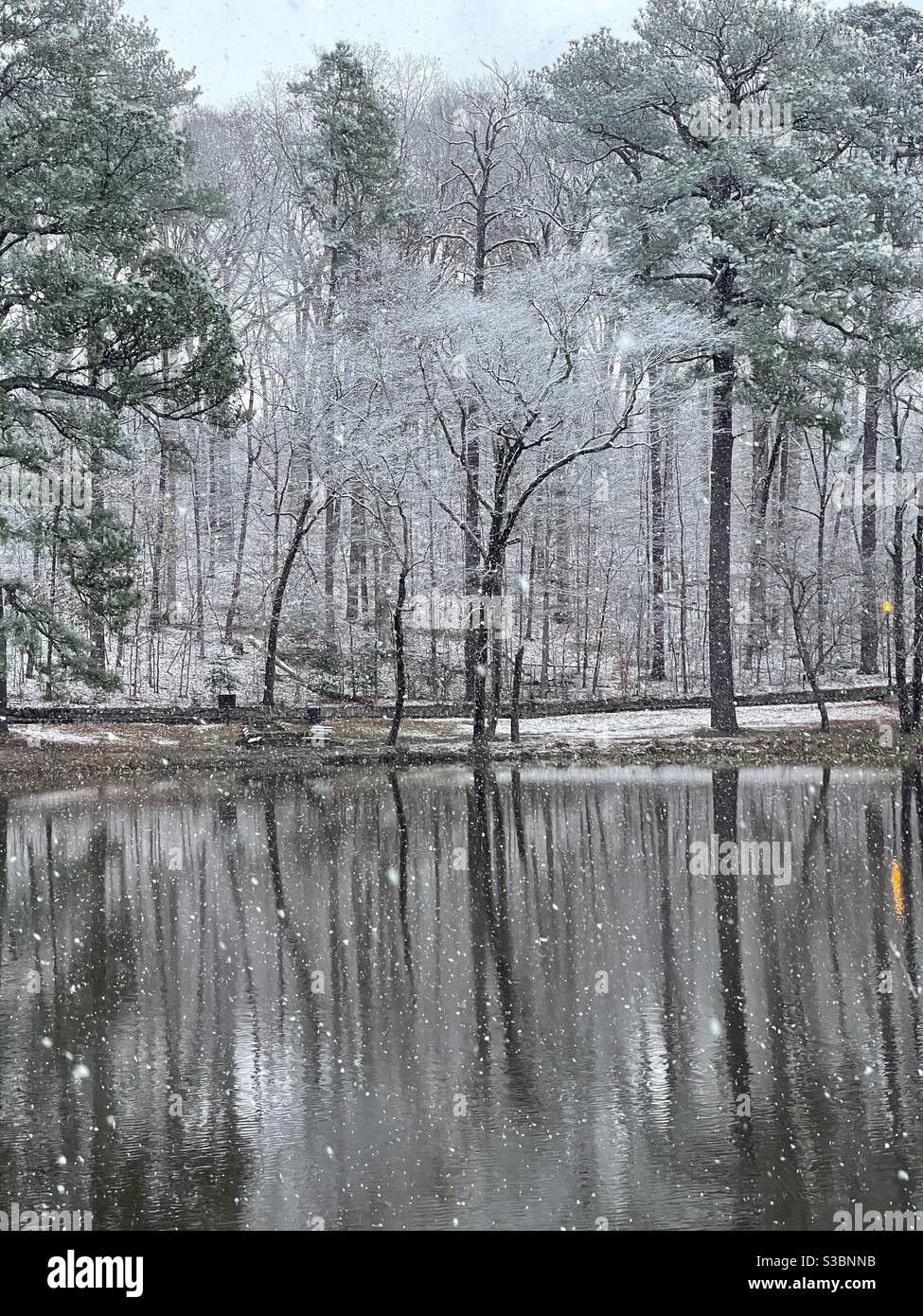 Snow falls over a lake in the woods during the first of December. Stock Photo