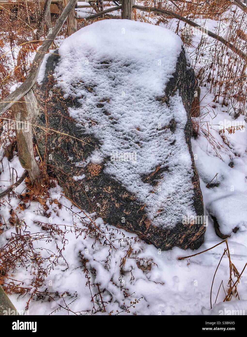 A blanket of snow covers a large rock in the woods. - Smartphone Captured Stock Image