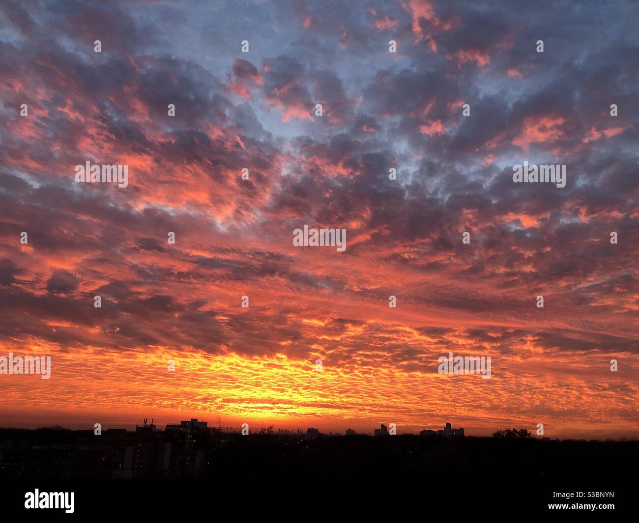 Fiery evening sky. - Smartphone Captured Stock Image