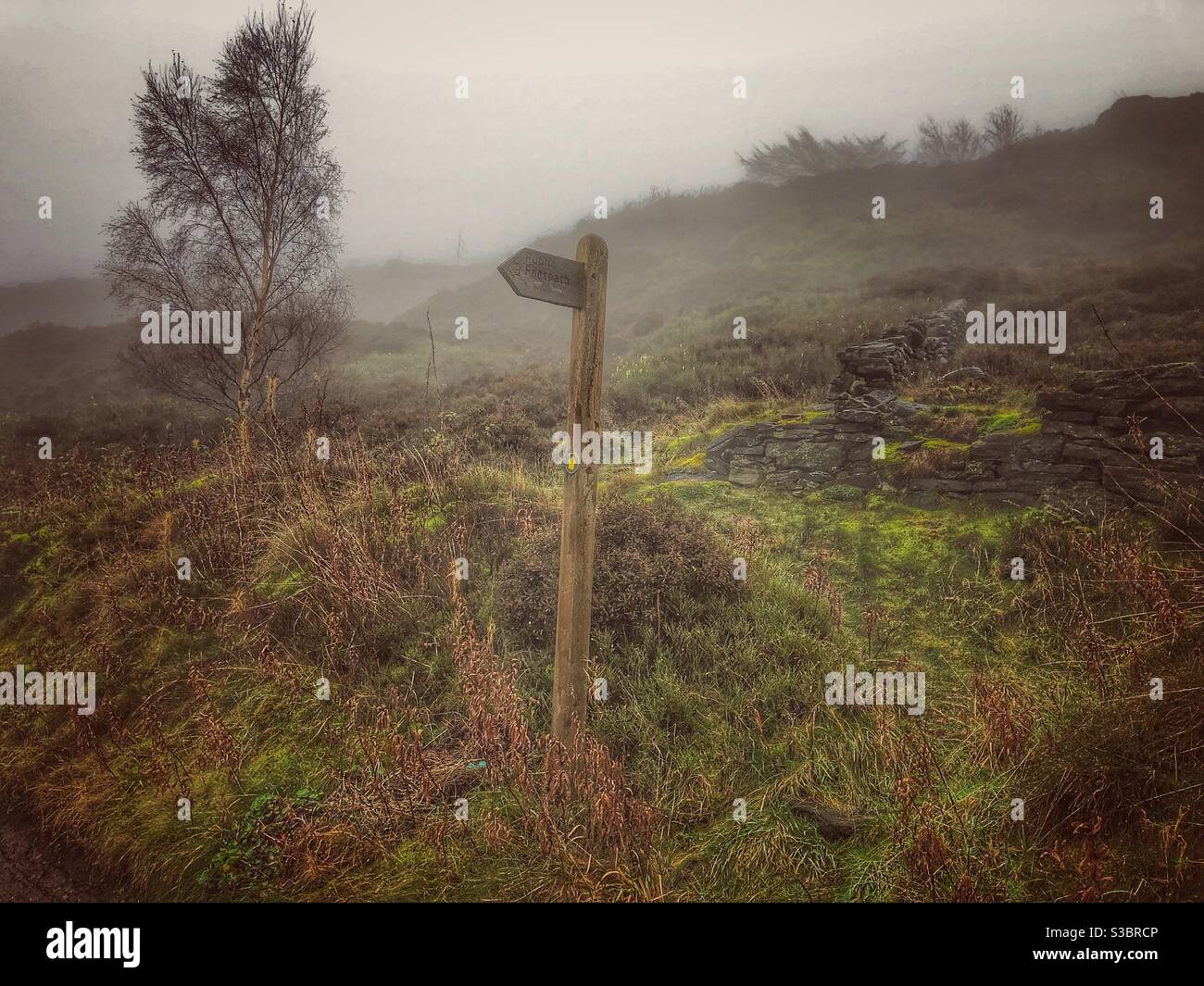 Way Marker of Country Footpath on A Misty Winter Morning In West Yorkshire, England, United Kingdom. Stock Photo