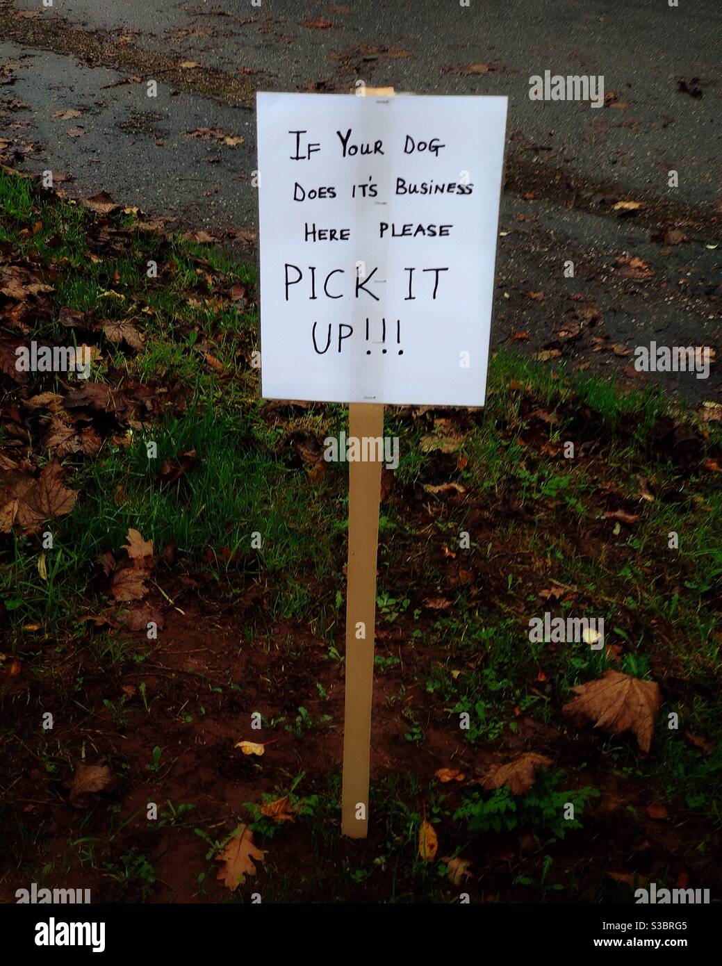 Please pick up your dog's poo plea! - Smartphone Captured Stock Image