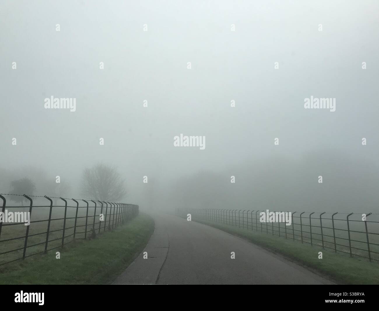 A foggy morning in the English countryside - Smartphone Captured Stock Image