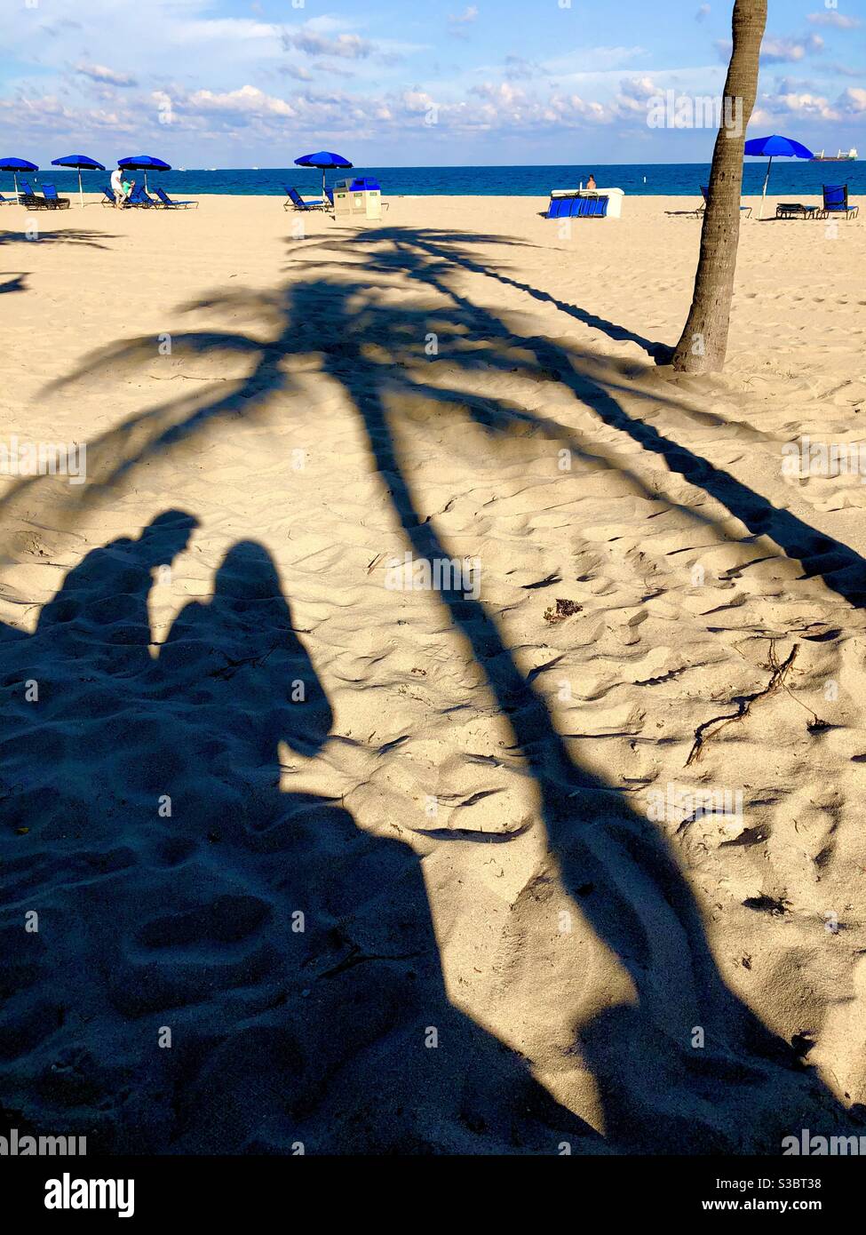 Silhouette of couple sitting under a palm tree at the beach in Fort Lauderdale, Florida. - Smartphone Captured Stock Image