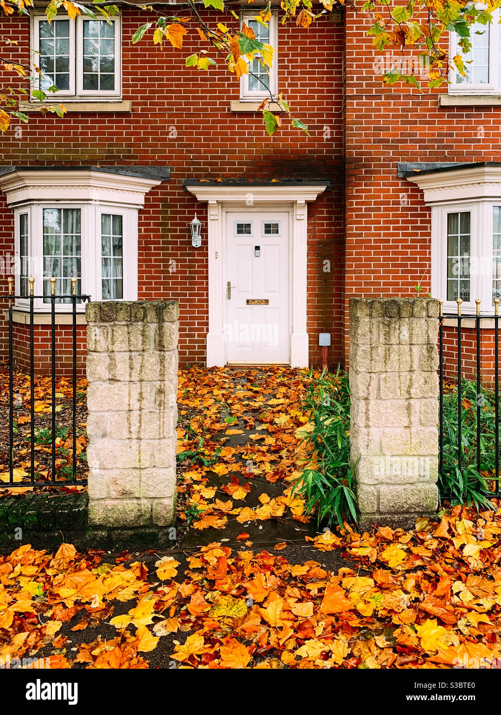 House with a white door in the autumn with the path covered with leaves - Smartphone Captured Stock Image