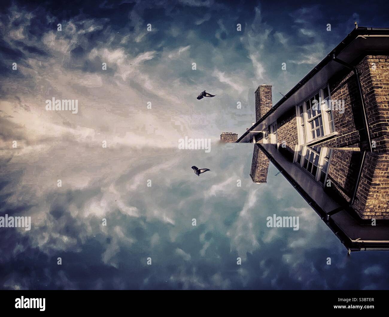Mirror image of birds hi-res stock photography and images - Alamy