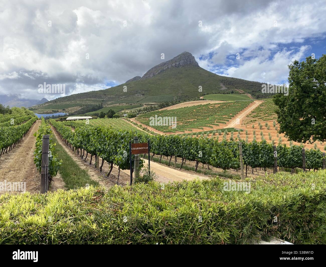 South African wine farms Stock Photo Alamy