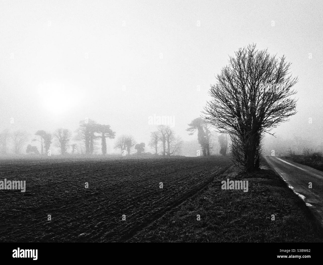 Suffolk England - Smartphone Captured Stock Image