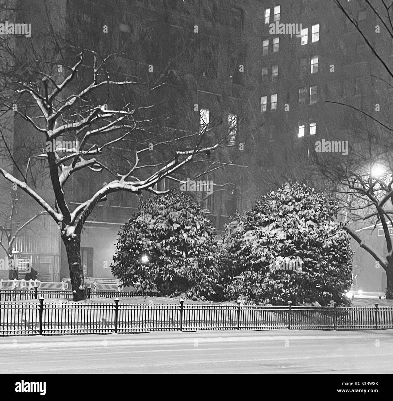 Falling snow creates dramatic monochromatic landscape with snow-covered tree branches and bushes on the fenced median on Park Avenue at 35th Street, Manhattan. Lights inside homes glow in the windows. - Smartphone Captured Stock Image