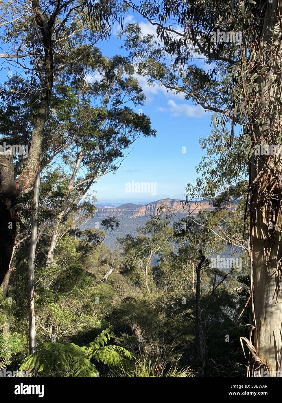 Blue mountains sydney hi-res stock photography and images - Alamy