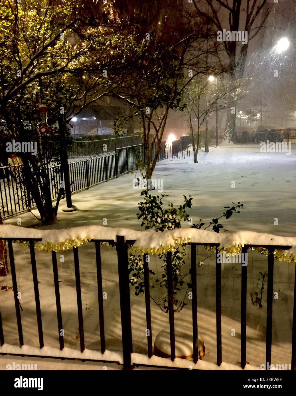 2020 Nor’easter Winter wonderland in apartment complex garden in New York City. First major storm since 2018 Stock Photo