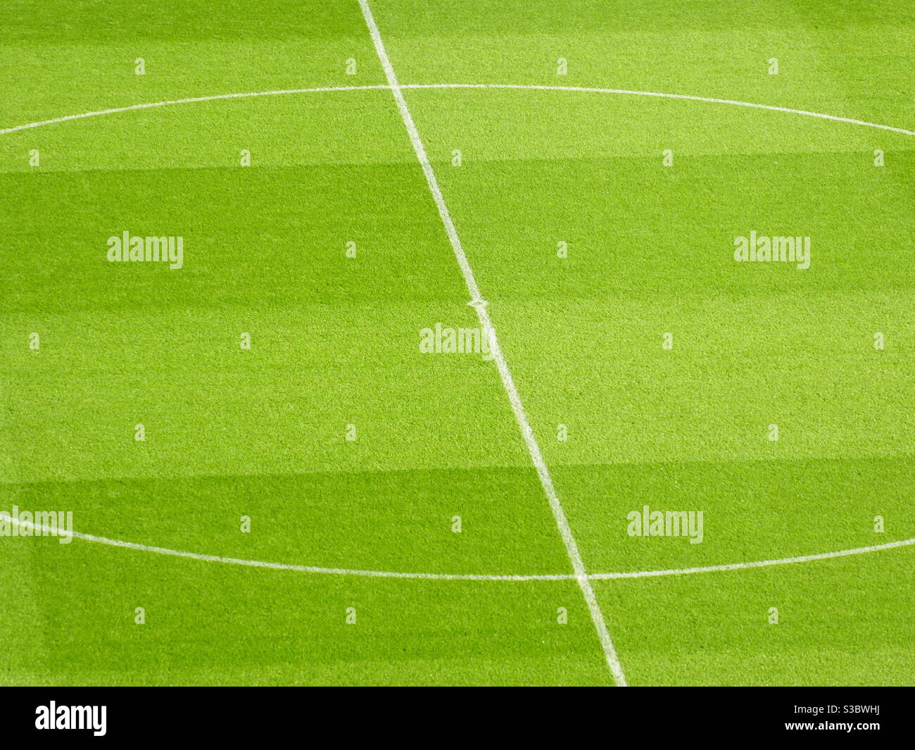 A grass close up of the centre line in the middle of a football pitch Stock Photo